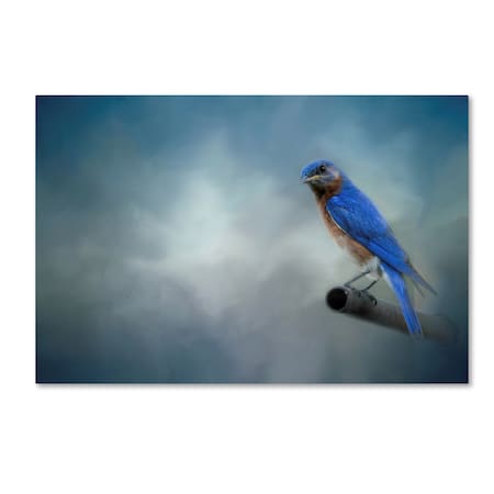 Jai Johnson 'Bluebird On Patrol' Canvas Art,12x19